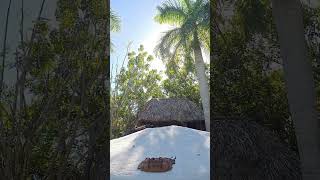 Temazcal en akaki bacalar [upl. by Ennoirb]