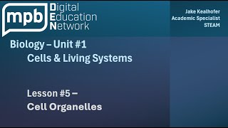 MPB Biology Unit 1 Lesson 5 Cell Organelles [upl. by Onairelav]