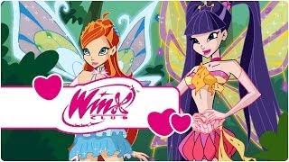 Winx Club  Saison 4 Épisode 2  Larbre de vie clip3 [upl. by Haney306]