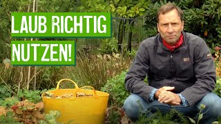 Laub als Winterschutz im Garten  Der Grüne Tipp kompakt [upl. by Norrie]