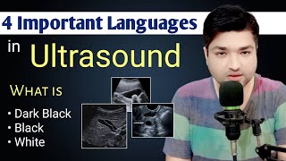 4 Important Language in Ultrasound by Dr Ali Waqar [upl. by Yggep637]