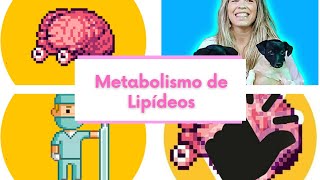 Metabolismo de Lipídeos [upl. by Crane668]