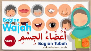 Belajar nama bagian tubuh dalam bahasa arab  seri 1 bagian wajah [upl. by Dierdre]