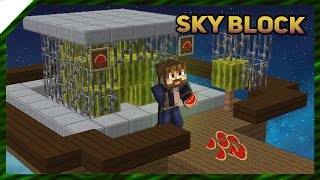 Бесконечная еда подписчикам 🍉  SkyBlock 17 [upl. by Helena22]