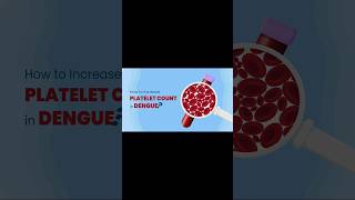 How to increase platelets in Dengue💊🏥shorts [upl. by Anyat]