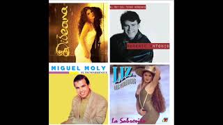 Merengue De Los 90 Miguel Moly Diveana Liz Roberto Antonio Mix [upl. by Rawde]