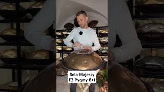 Sela MajestyF2 Pygmy 81 [upl. by Arraek]