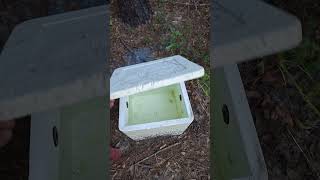 SURVIVAL HACK  Water Source Using Styrofoam Coolers [upl. by Amron]