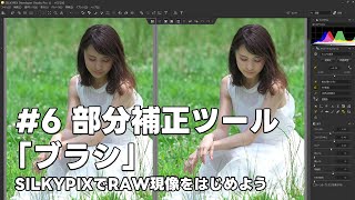 SILKYPIXでRAW現像をはじめよう 6 部分補正ツール 「ブラシ」 [upl. by Sulrac]