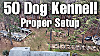 Proper kennel setup ideas [upl. by Sulakcin]