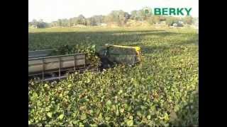 BERKY Triton 550 Aquatic Weed Harvester harvesting water hyacinth [upl. by Llenram]