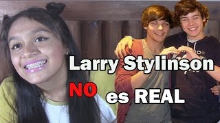 Larry Stylinson NO es real LA CITI [upl. by Zelig173]