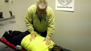 The Chiropractic Adjustment with Dr Fred Schofield [upl. by Nuahsar]