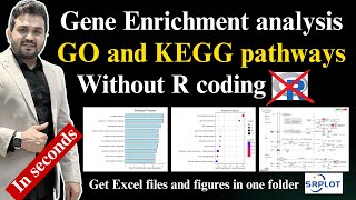 How to perform gene enrichment GO and KEGG pathways analysis with SR plot [upl. by Mima]