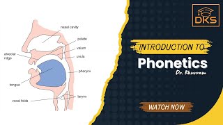 Introduction to Phonetics from George Yule Chapter 3 [upl. by Yssis473]