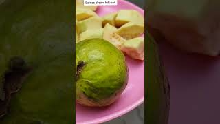 സംഗതി കിടു ആണ് ട്ടോപേരക്ക ജ്യൂസ്perakka juiceguava milk shake  juicerecipe in Malayalamperaka [upl. by Aun]