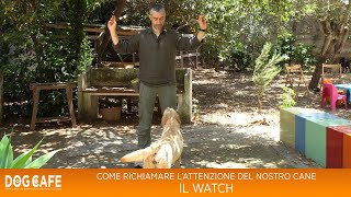 Come richiamare lattenzione del nostro cane  il watch [upl. by Gunther]