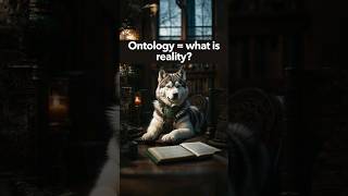 What is ontology researchmethods research shorts shortvideo learning philosophy [upl. by Cicily833]