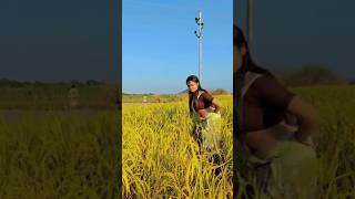 Barikha potharot assamese song 🥀🥀 assamese new song 2024assamesereels shortvideo [upl. by Marni379]