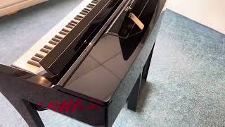 Used Yamaha CVP609 PE Digital Piano  Rimmers Music  Condition Walk Through With James [upl. by Marylin]