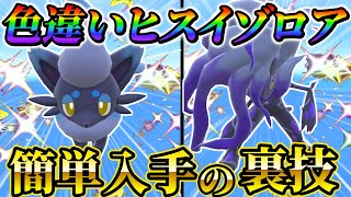 【色違いヒスイゾロアーク＆色違いヒスイゾロア】ポケモンsvの最新色違い厳選方法色違いヒスイゾロアを誰でも簡単入手する方法ポケモンスカーレットバイオレット [upl. by Eatton]