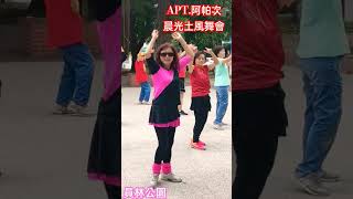 APT阿帕次（4後半311結尾） 員林 晨光土風舞會 dance dancechoreography 舞團 [upl. by Esilenna]