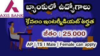 Axis బ్యాంకులో ఉద్యోగాలు  Axis bank jobs  customer care executive jobs I All jobs station Bank [upl. by Glorianna602]