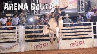 Final do Rodeio Qualify  EXPO FERNANDÓPOLIS 2017 [upl. by Cordeelia]