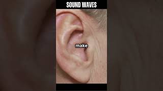 The Science of Sound How Vibrations Turn into the Sounds We Hear Every Day factsall facts [upl. by Essy]