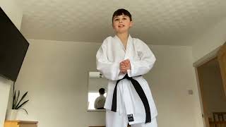 Karate lesson for beginners at home  White belt [upl. by Ylyl]