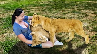 Most Emotional Animal Reunions With Owners After Years [upl. by Manny]