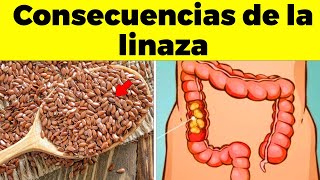 ¡REVELADO Consecuencias de CONSUMIR LINAZA para tu cuerpo [upl. by Anyrtak]