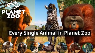 Every Single Animal in Planet Zoo [upl. by Hindorff247]