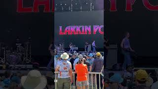 Larkin Poe live from Bonnaroo [upl. by Nennarb458]