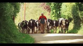 Glanbia Ingredients Ireland Farming for the Future  Ep02  Sustainability with Joe Hayden [upl. by Edrei370]