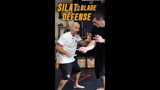 Silat Blade Defense Simple Tactics [upl. by Theobald]