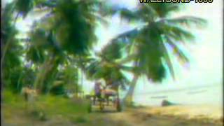 LUIZ CALDASTIETAVIDEO ORIGINAL 1990 HQ [upl. by Ahsilet]