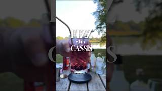 Gin Fizz with Cassis Cocktail  cocktails cocktailrecipes mixology [upl. by Lorilyn]