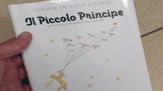 Audiolibro Integrale quotIl Piccolo Principequot [upl. by Aicekan]