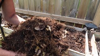 Tree Roots and Raised Beds [upl. by Marchelle]