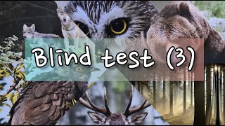 Blind Test3 quotCris animaux de la forêtquot [upl. by Fenn]