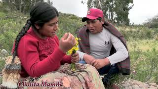 Varon Eng4ñ4 A Su Esposa Por Que No le Atendia  Cholita Mamila [upl. by Mungovan]