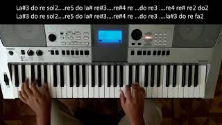 quot LLEGASTE TU quot En Piano Cover  CNCO  NOTAS â™ªâ™«â™ª [upl. by Ahsika]