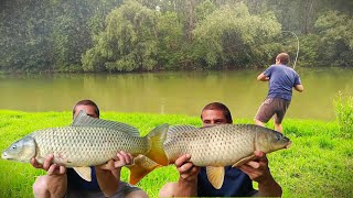 Pocepao sam šarane na kokos  12 sati  9 riba napolju  40kg  THE DESTROYER OF SERBIAN WILD CARP [upl. by Yelats]