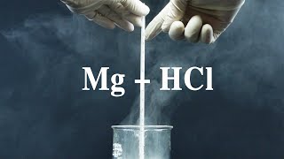 Mg  HCl Magnesium tác dụng với dung dịch hydrochloric acid [upl. by Dido]