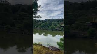 Kyoto Kinkakuji temple Japan solo travelling 🇯🇵🤍 kyoto kinkakuji japan solotravel [upl. by Nylessej]