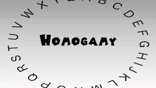 How to Say or Pronounce Homogamy [upl. by Cotsen809]