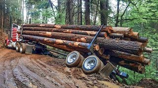 Extreme Dangerous Huge Wood Logging Truck Driving Skill Amazing Heavy Equipment Operator Truck [upl. by Ahsiam]