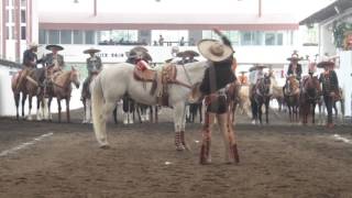 Floreando en la Nacional de Charros [upl. by Elleoj]