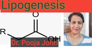 Biochemistry Lipogenesis [upl. by Cote852]